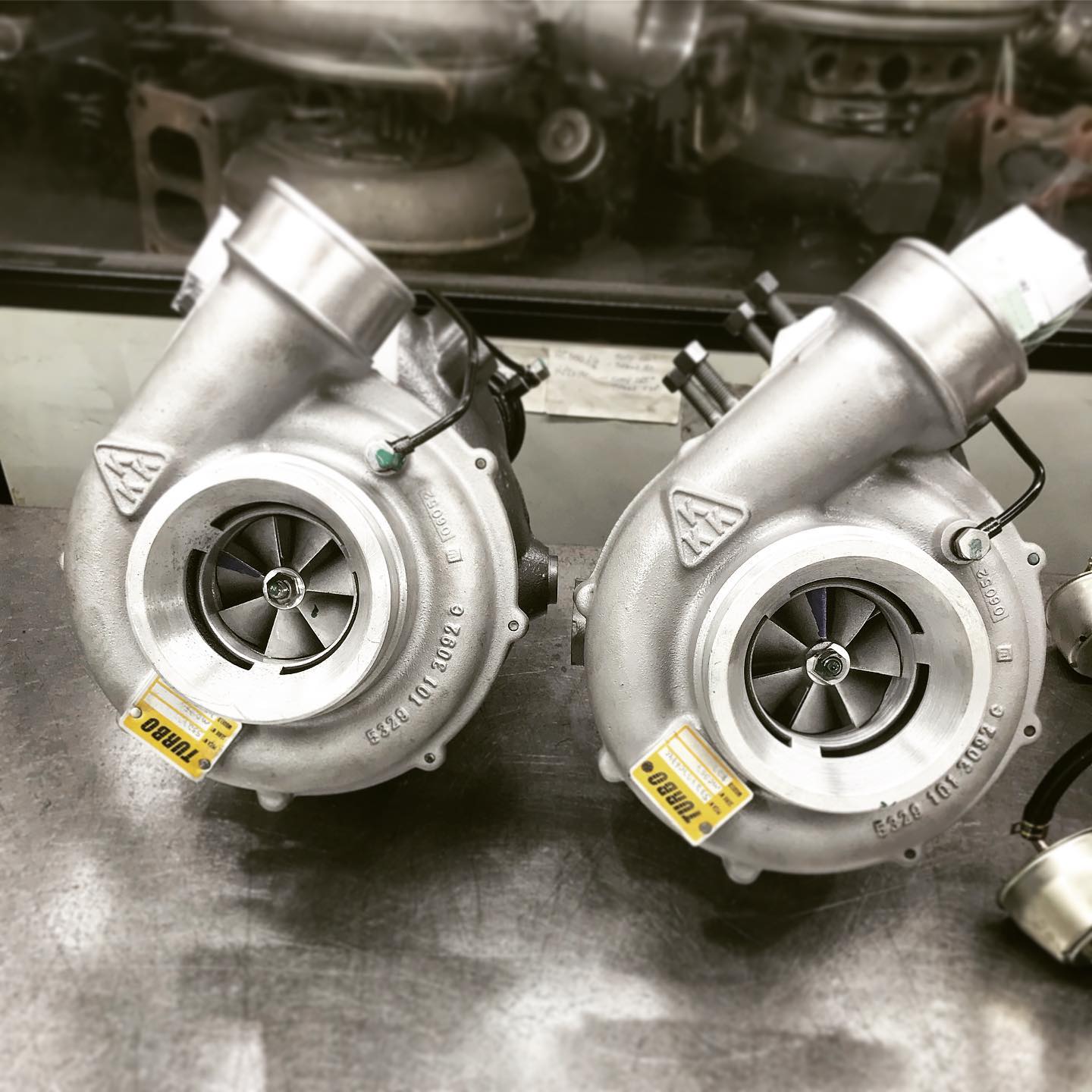 89965169_230017058138140_8544358834796614901_n